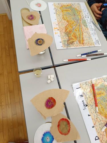 "Kaffeefilter-Kunstwerke"